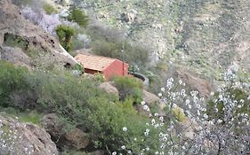 Casa Cueva El Pedregal Tejeda