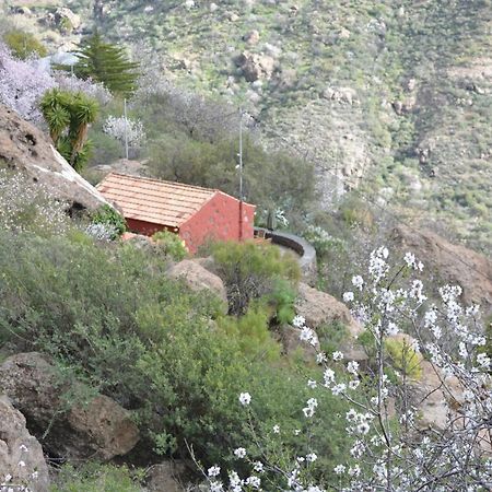 Casa Cueva El Pedregal Tejeda Villa Exterior photo