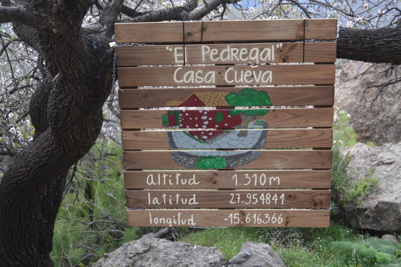 Casa Cueva El Pedregal Tejeda Villa Exterior photo