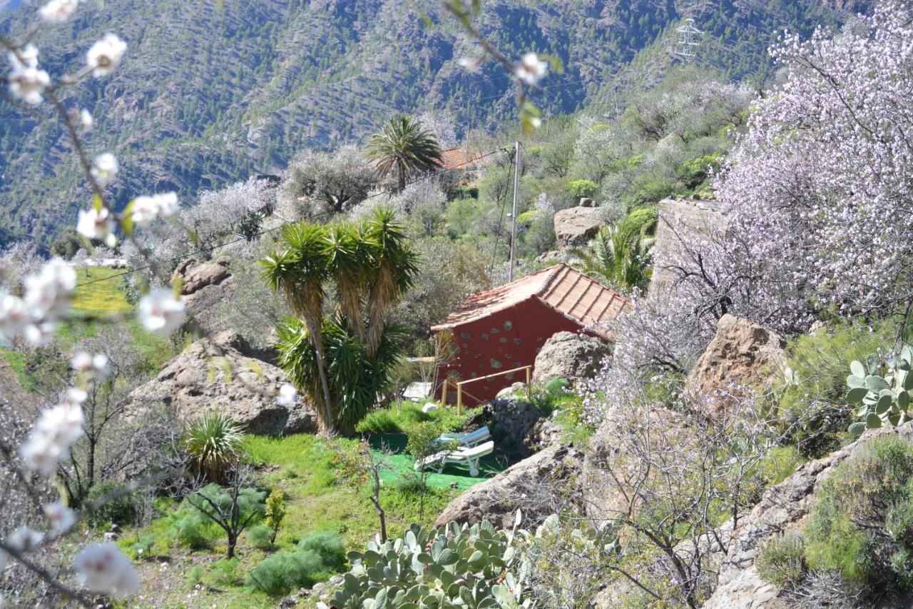 Casa Cueva El Pedregal Tejeda Villa Exterior photo