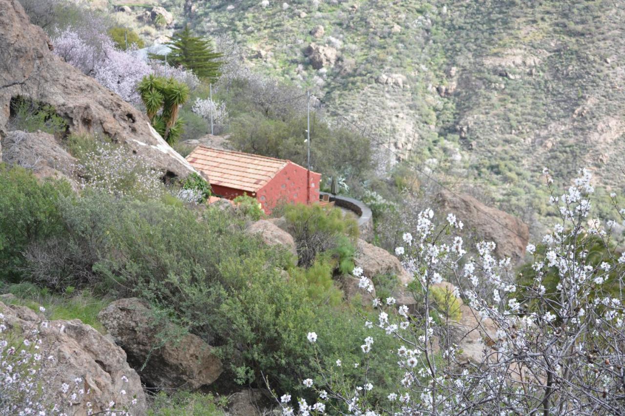 Casa Cueva El Pedregal Tejeda Villa Exterior photo